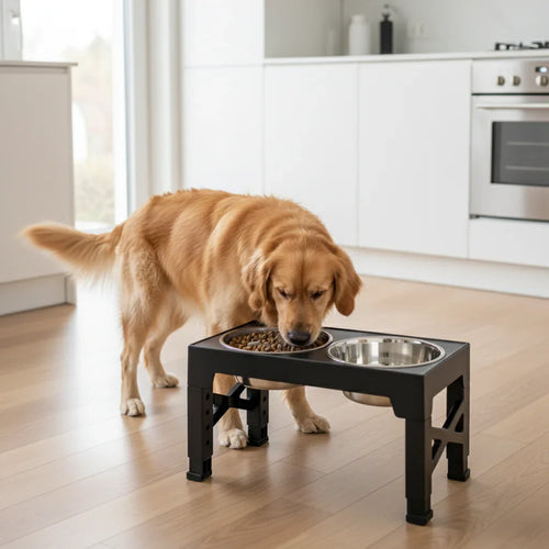🍽️ Feeding & hydration