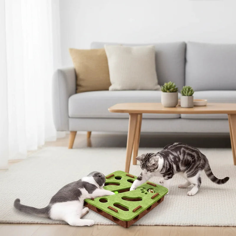 Cat puzzle toy