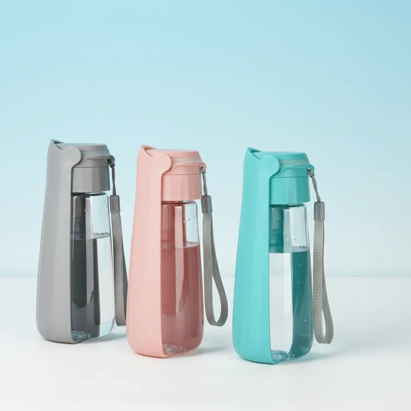 Portable pet water bottle